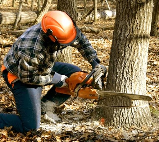 Tree Removal in Dickens, NE